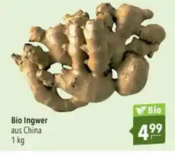 Citti Bio Ingwer aus China tilbud