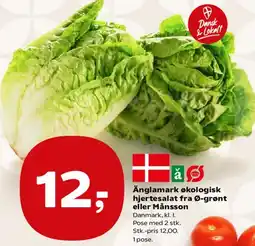 SuperBrugsen Änglamark økologisk hjertesalat fra Ø-gront eller Månsson tilbud