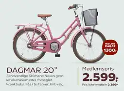 SuperBrugsen DAGMAR 20 tilbud