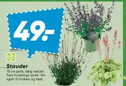 Bilka Stauder tilbud