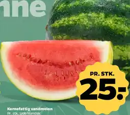 Netto Kernefattig vandmelon tilbud