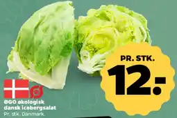 Netto Økologisk dansk icebergsalat tilbud