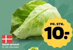 Netto Dansk spidskål tilbud