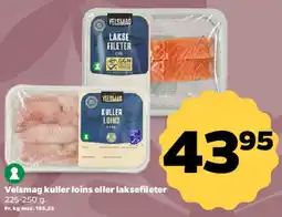 Netto Velsmag kuller loins eller laksefileter tilbud