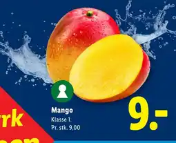 Lidl Mango tilbud