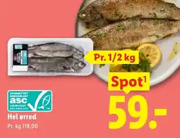 Lidl Hel ørred tilbud