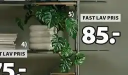 JYSK MADSEN kunstig plante tilbud