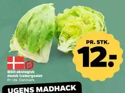 Netto ØGO økologisk dansk icebergsalat tilbud