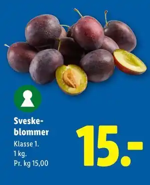 Lidl Sveskeblommer tilbud