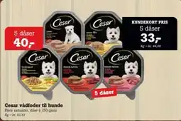 Poetzsch Padborg Cesar vådfoder til hunde tilbud
