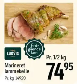 Føtex Marineret lammekølle tilbud