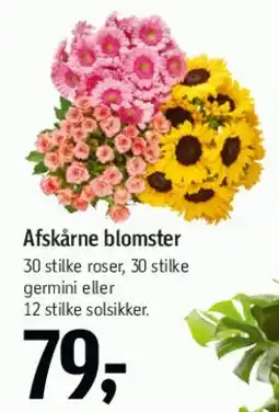 Føtex Afskårne blomster tilbud