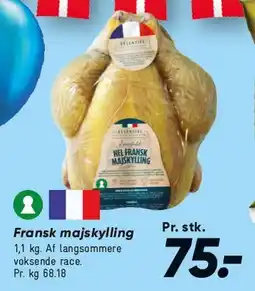 Bilka Fransk majskylling tilbud