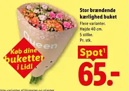 Lidl Stor brændende kærlighed buket tilbud