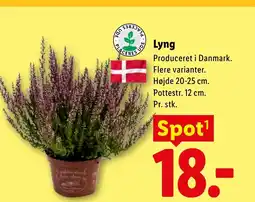 Lidl Lyng tilbud