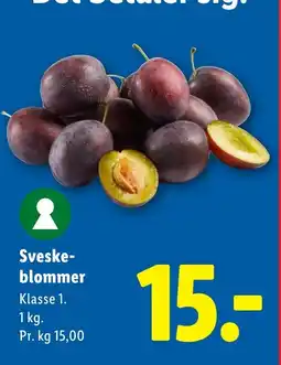 Lidl Sveske- blommer tilbud