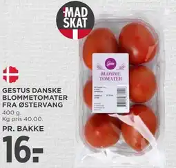 MENY GESTUS DANSKE BLOMMETOMATER FRA ØSTERVANG tilbud