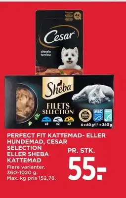 MENY PERFECT FIT KATTEMAD- ELLER HUNDEMAD, CESAR SELECTION ELLER SHEBA KATTEMAD tilbud