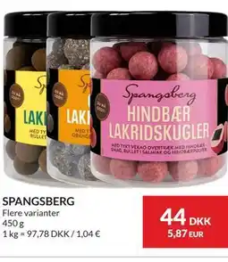 Nielsen's Discount SPANGSBERG tilbud