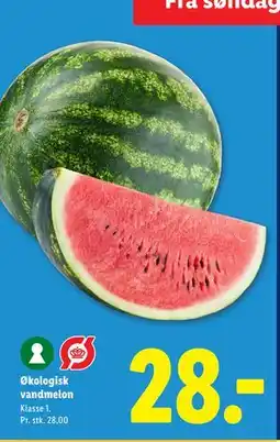 Lidl Økologisk vandmelon tilbud