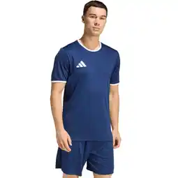 Sport 24 adidas Entrada 26 Trænings T-shirt Herre tilbud