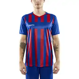 Sport 24 Craft Progress 2.0 Stripe Trænings T-shirt Herre tilbud