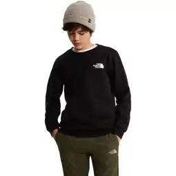 Sport 24 The North Face Evolution Box NSE Sweatshirt Børn tilbud