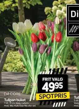 Din Isenkræmmer Tulipan buket tilbud