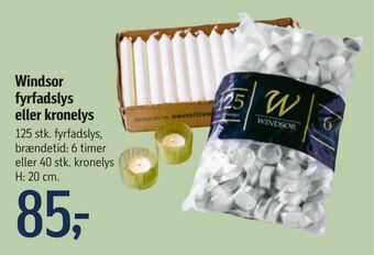 Føtex Windsor fyrfadslys eller kronelys tilbud