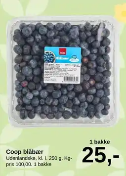SuperBrugsen Coop blåbær tilbud