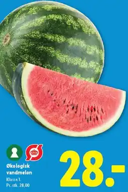 Lidl Økologisk vandmelon tilbud