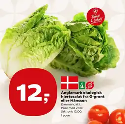 Coop.dk Änglamark økologisk hjertesalat fra Ø-grønt eller Månsson tilbud