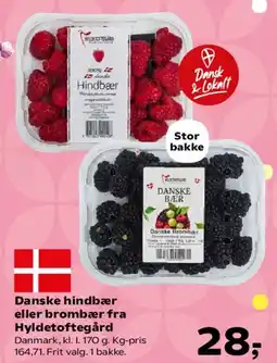 Kvickly Danske hindbær eller brombær tilbud
