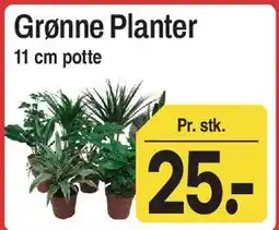 ABC Lavpris Grønne Planter tilbud