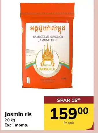 Jasmin ris
