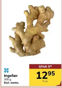 Dagrofa Food Service Ingefær tilbud