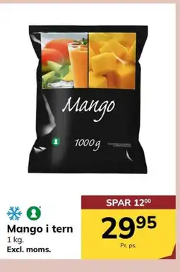 Dagrofa Food Service Mango i tern tilbud