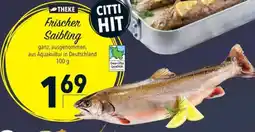 Citti Frischer Saibling tilbud