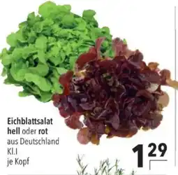 Citti Eichblattsalat hell oder rot tilbud