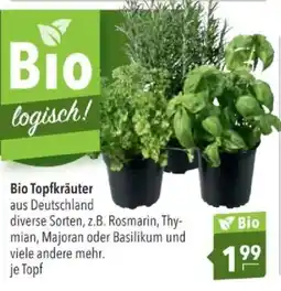 Citti Bio Topfkräuter tilbud