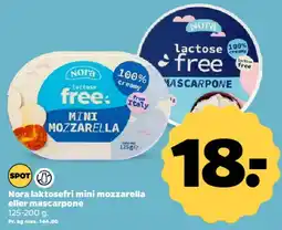 Netto Nora laktosefri mini mozzarella eller mascarpone tilbud