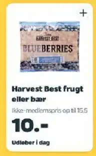 Netto Harvest Best frugt eller bær tilbud