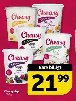 Løvbjerg Cheasy skyr tilbud