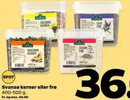 Netto Svansø kerner eller frø tilbud