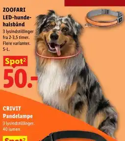Lidl ZOOFARI LED-hundehalsbånd tilbud