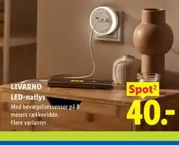 Lidl LIVARNO LED-natlys tilbud