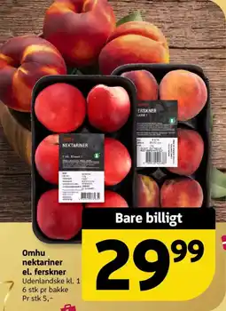 Løvbjerg Omhu nektariner el. ferskner tilbud
