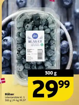 Løvbjerg Blåbær tilbud