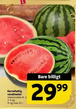 Løvbjerg Kernefattig vandmelon tilbud