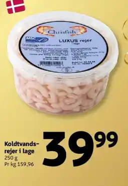 Løvbjerg Koldtvands- rejer i lage tilbud